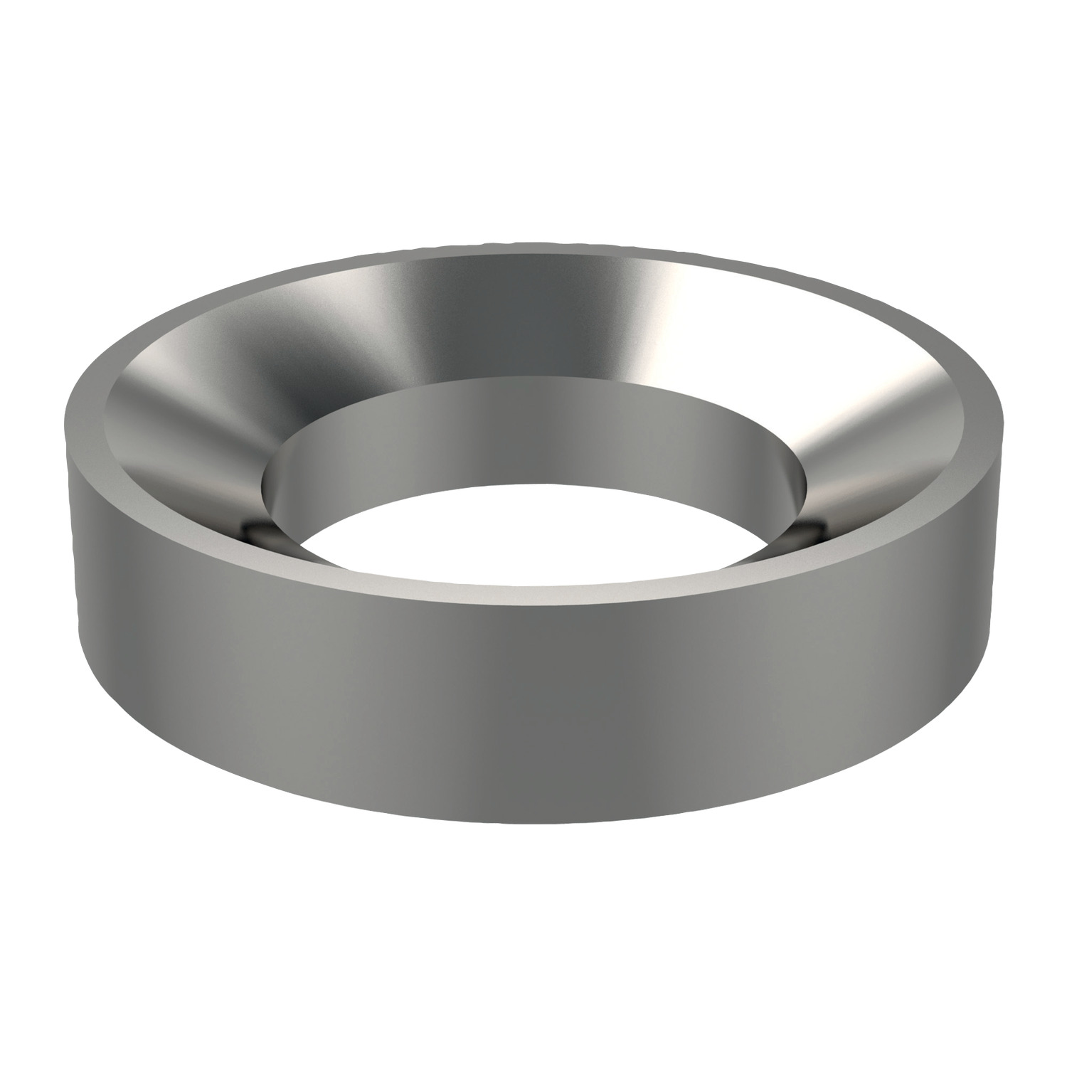 Product 25505, Dished Washers stainless steel 316 / 